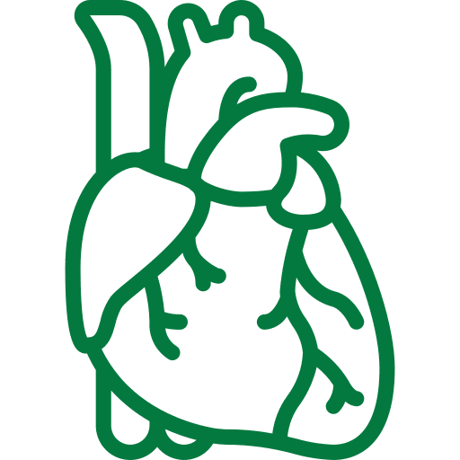 Cardiothoracic Surgery in Chennai