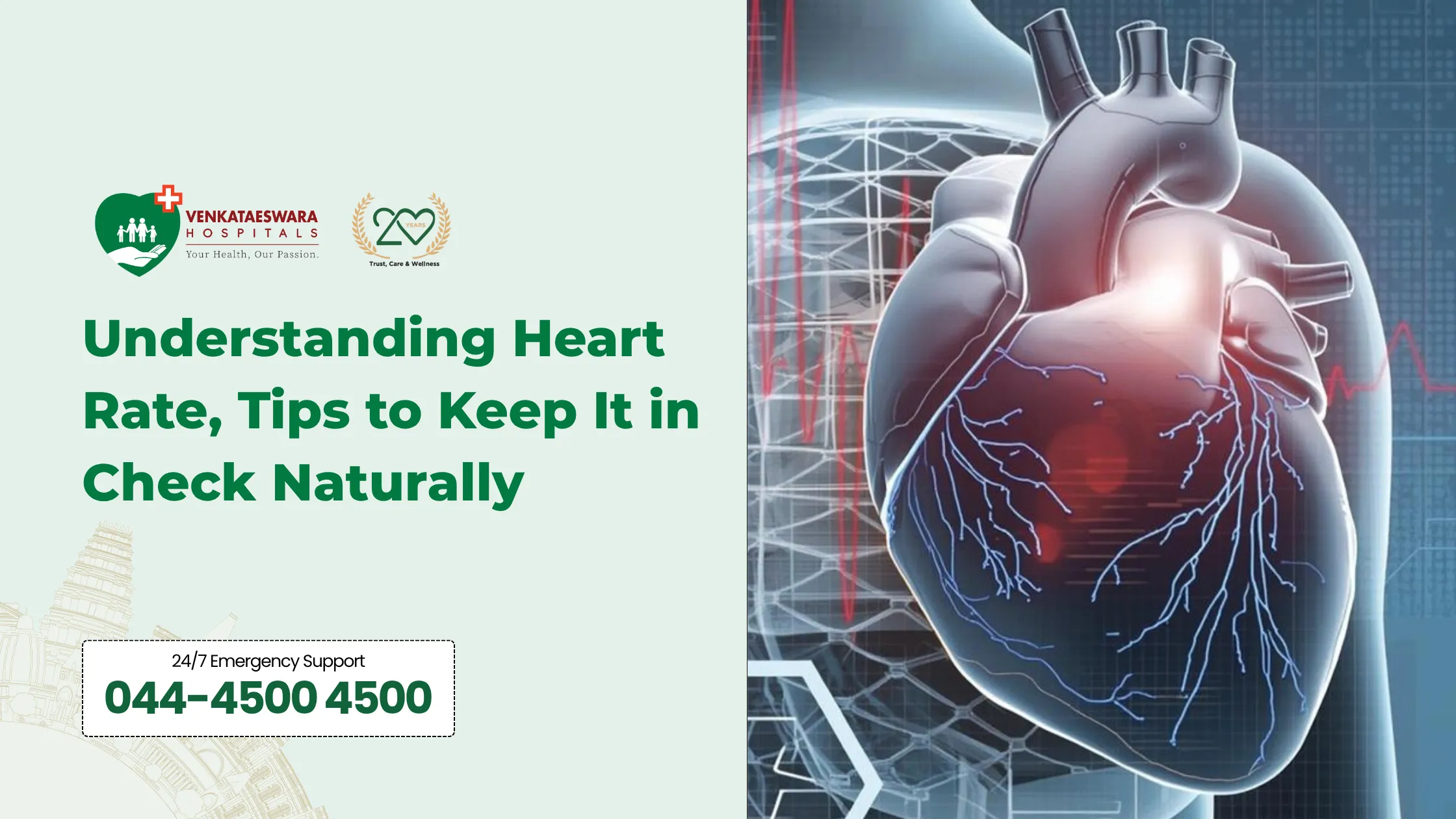 Understanding Heart Rate,Tips to Keep It in Check Naturally