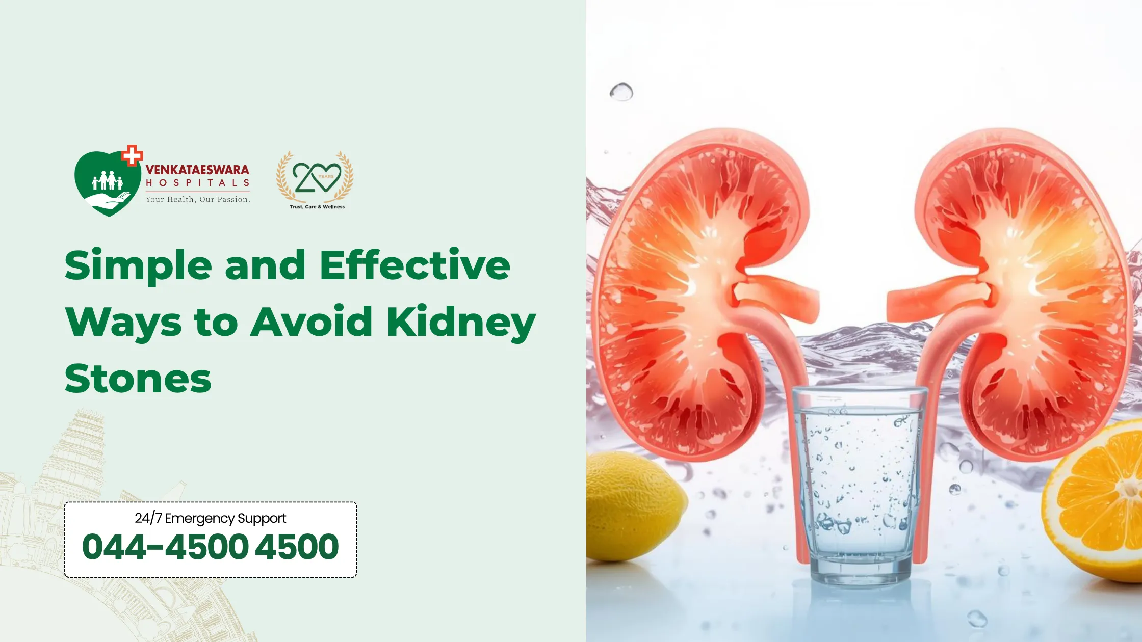 Simple and Effective Ways to Avoid Kidney Stones