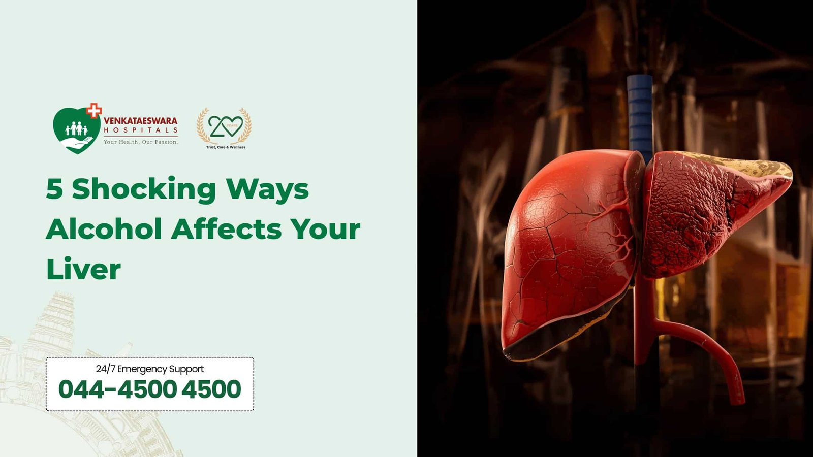 5 Shocking Ways Alcohol Affects Your Liver