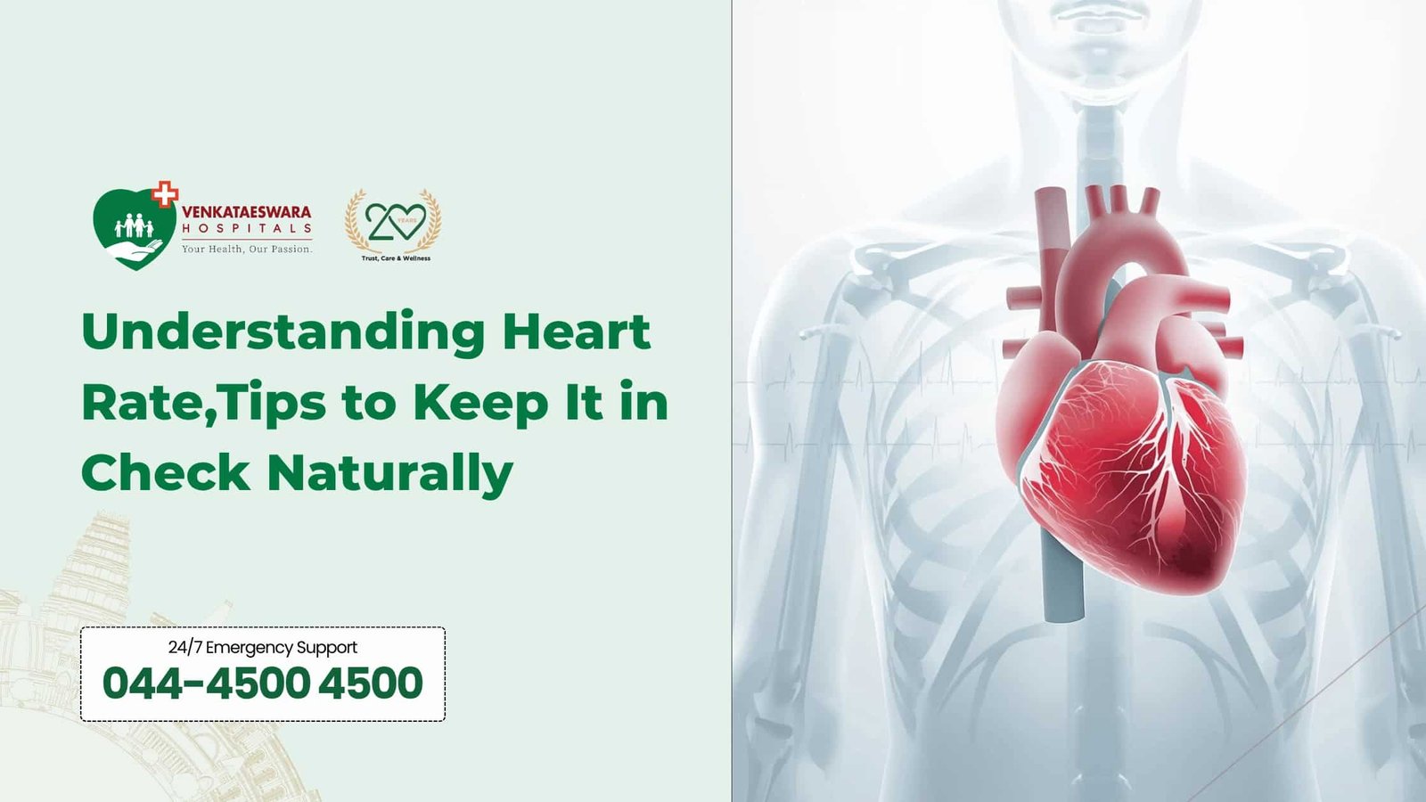 Early Warning Signs of Heart Attack Everyone Should Know