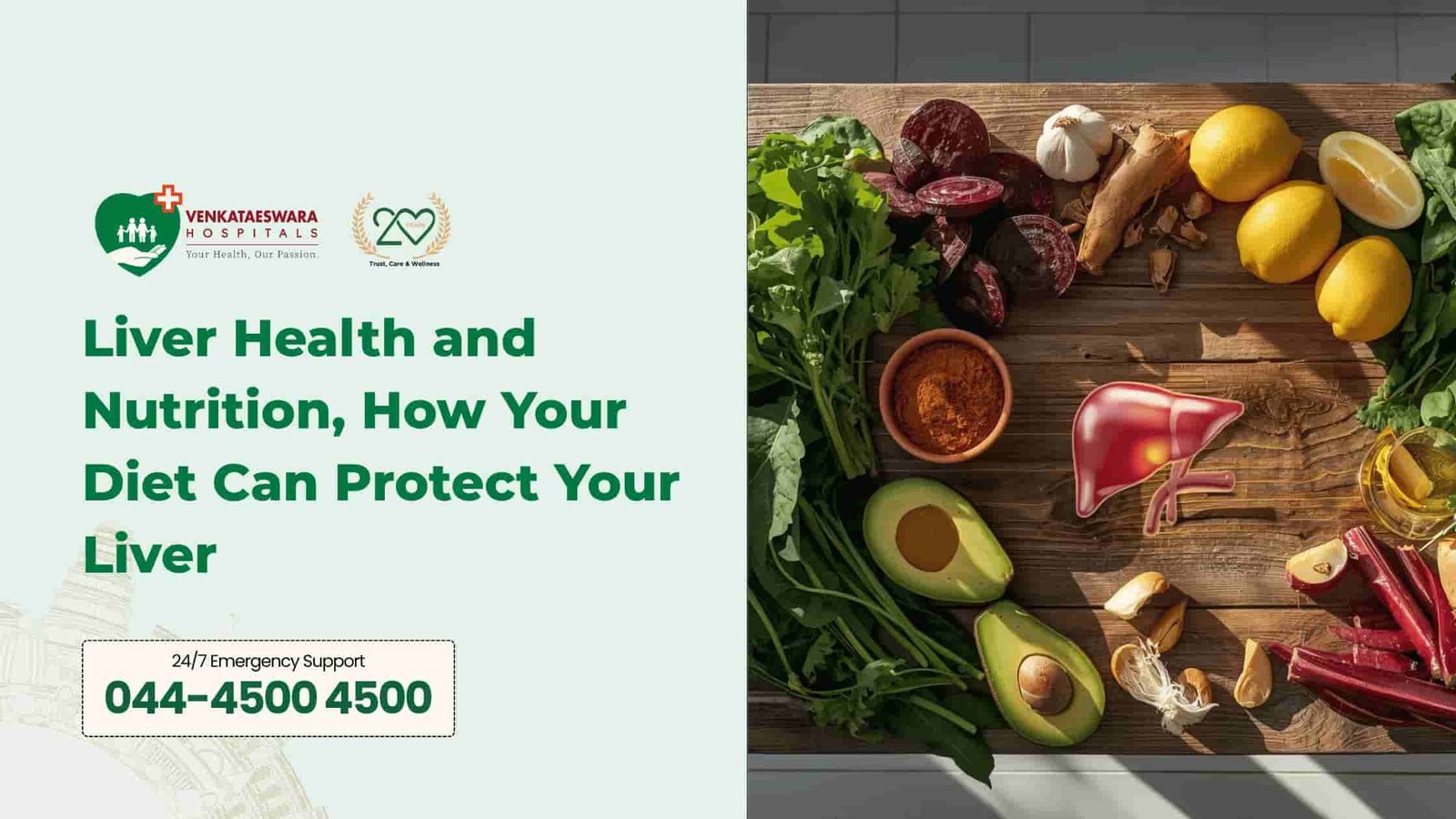 Liver Health and Nutrition How Your Diet Can Protect Your Liver