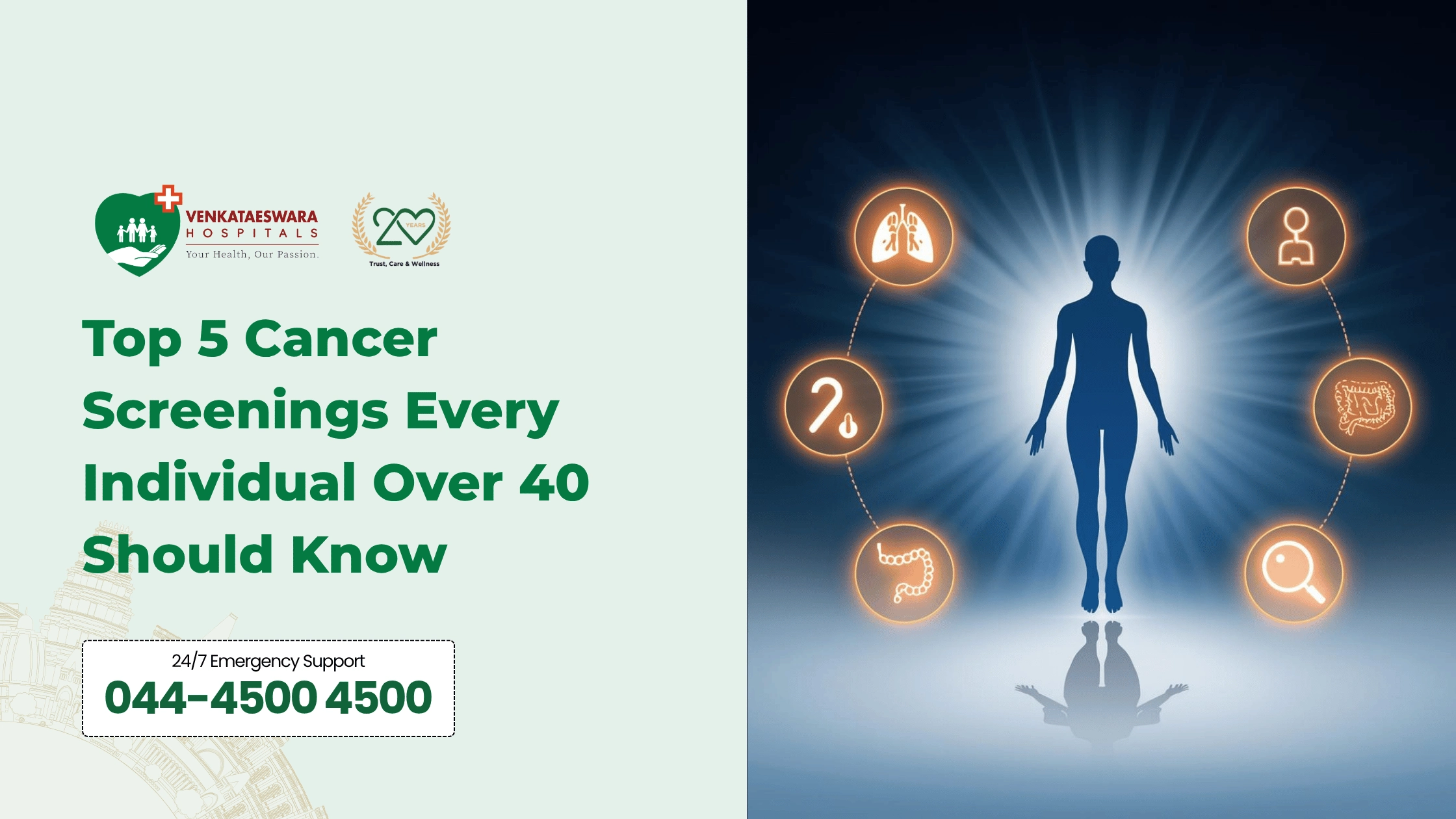 Empower Your Health,The Top 5 Cancer Screenings for Individuals Over 40