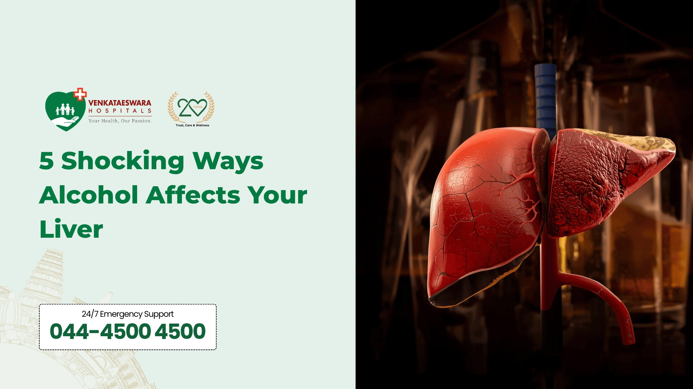 5 Shocking Ways Alcohol Affects Your Liver