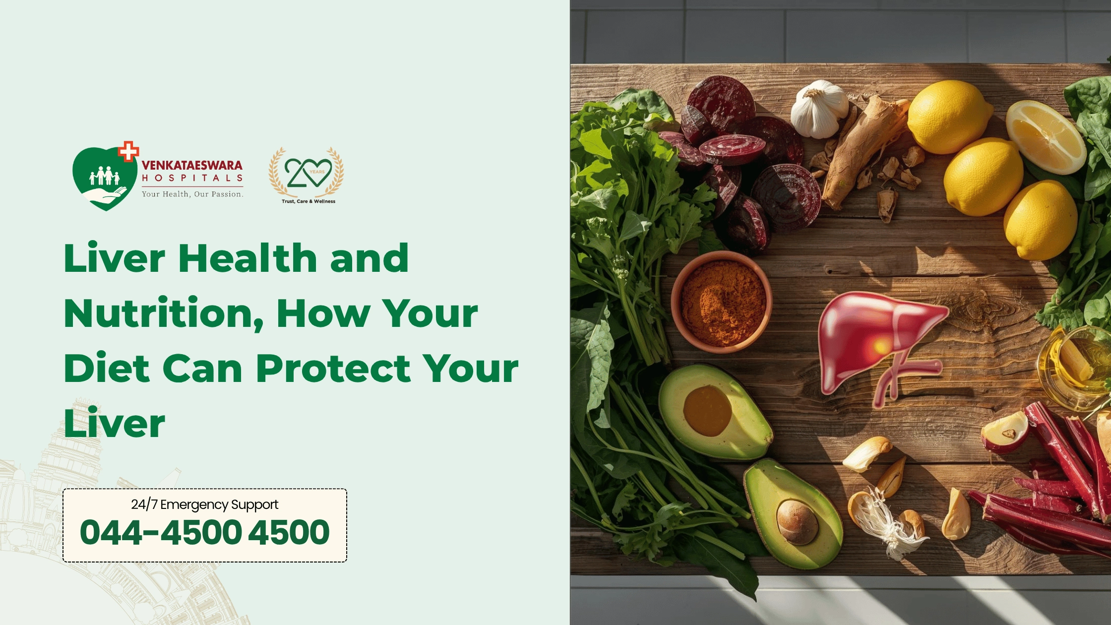 Liver Health and Nutrition How Your Diet Can Protect Your Liver