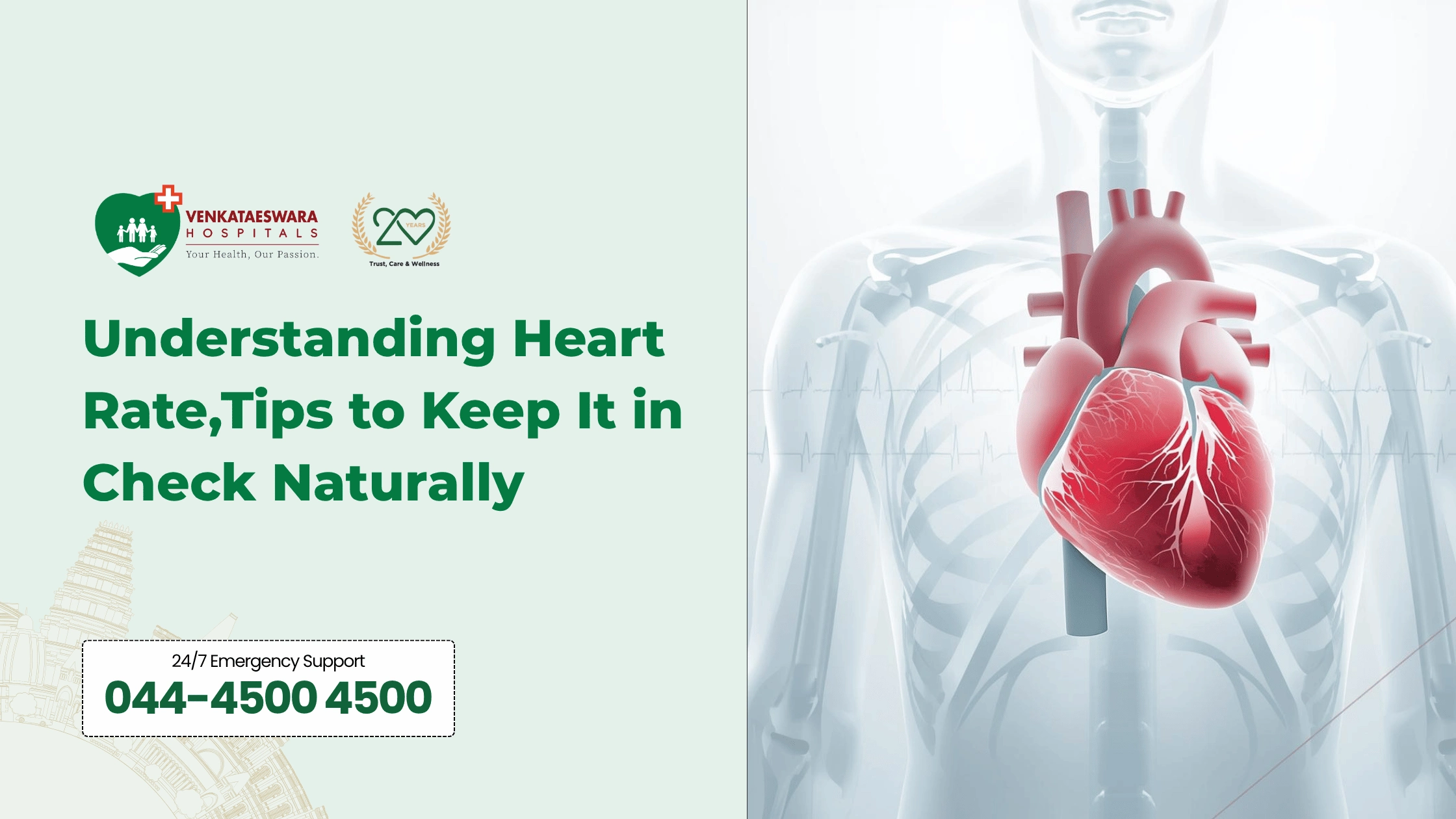 Early Warning Signs of Heart Attack Everyone Should Know