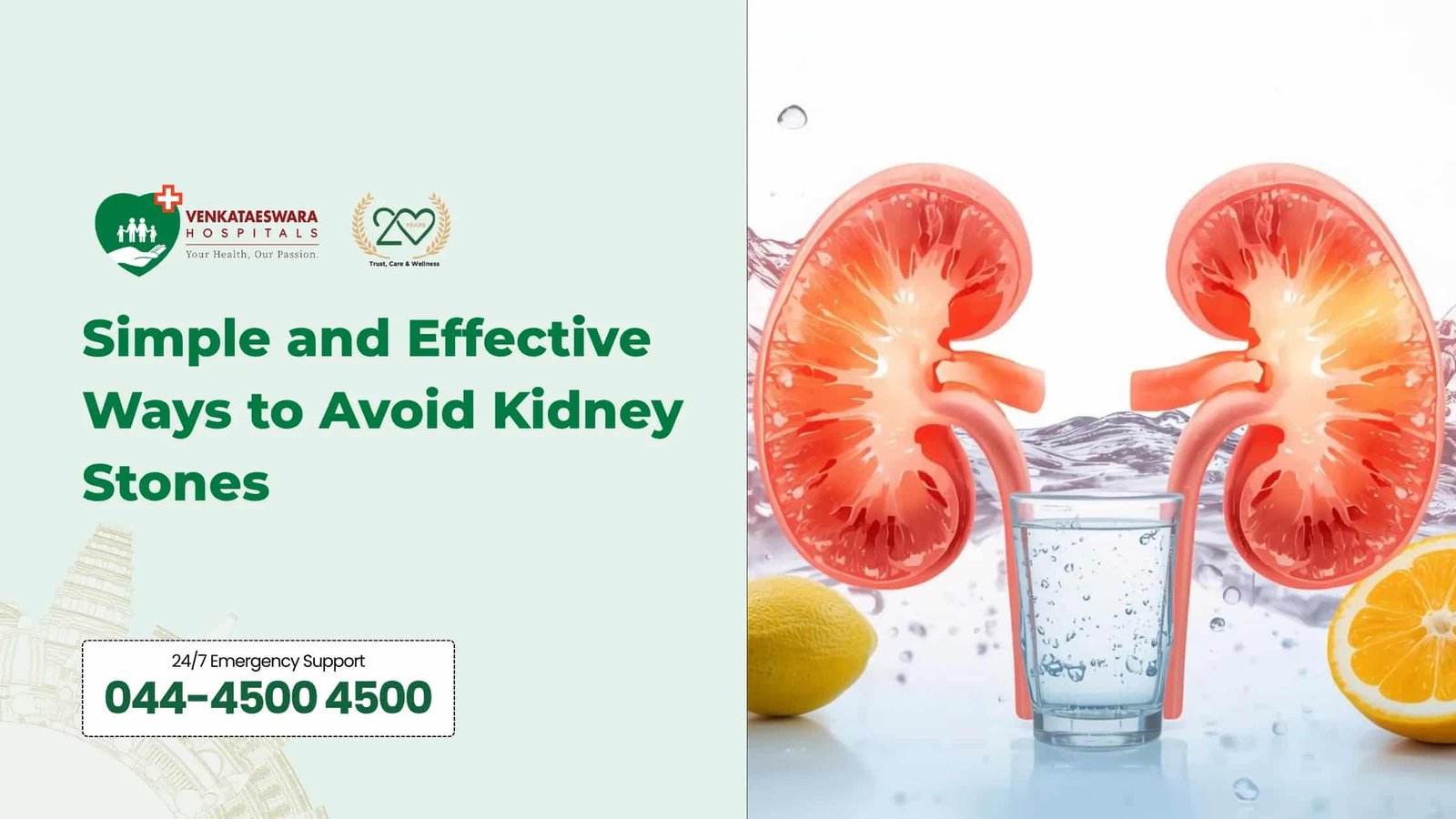 Simple and Effective Ways to Avoid Kidney Stones