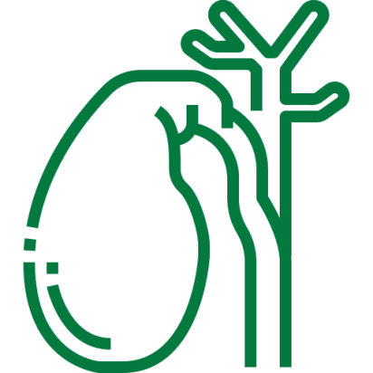 gallbladder best gastroenterology doctors in chennai