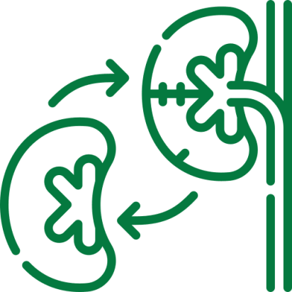 kidney transplaent best nephrology doctor in chennai