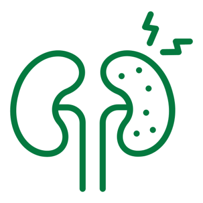 kidneys best nephrology doctor in chennai