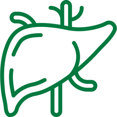 liver gastroenterologist in chennai