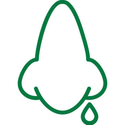 nose best ent surgery hospital in chennai