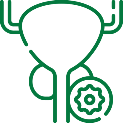 prostate kidney stone treatment in Chennai