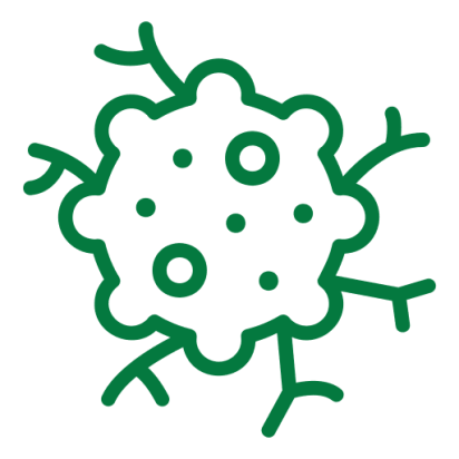 tumor Cancer Surgery in Chennai